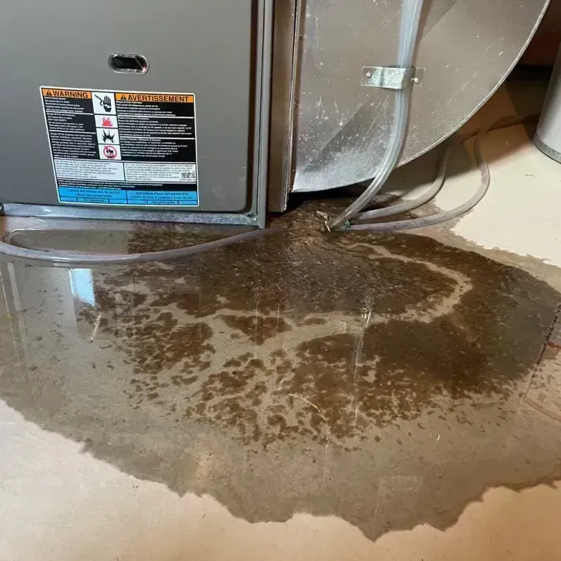 Appliance Leak Cleanup in Ferndale, MD